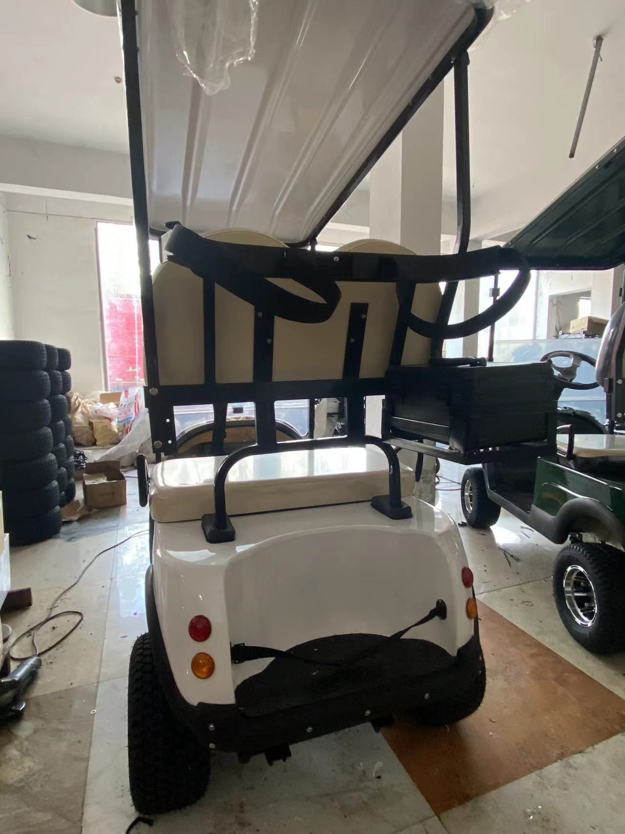 2 seats 2 seater off road push cart golf club cart Electric Golf Cart