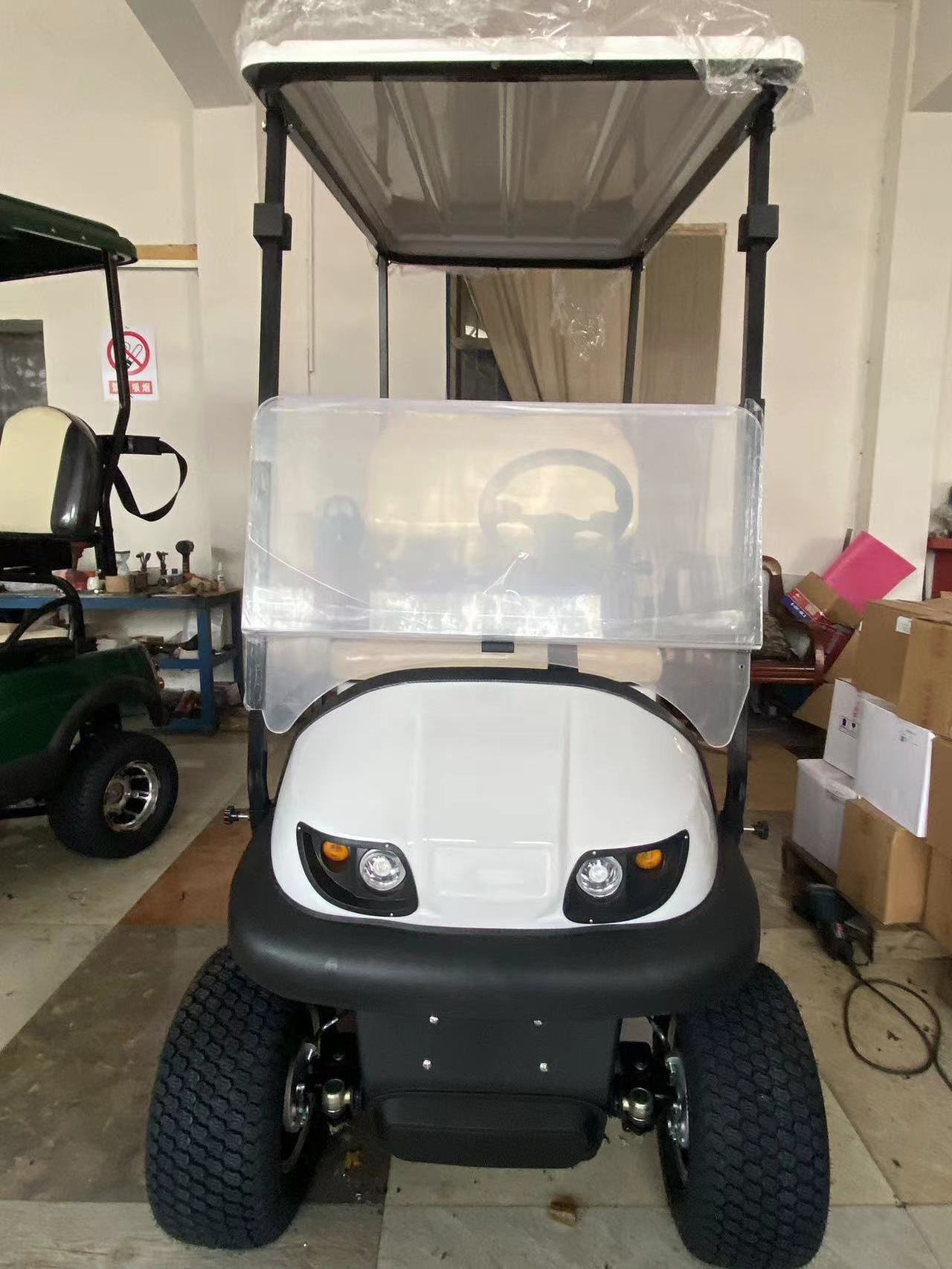 2 seats 2 seater off road push cart golf club cart Electric Golf Cart