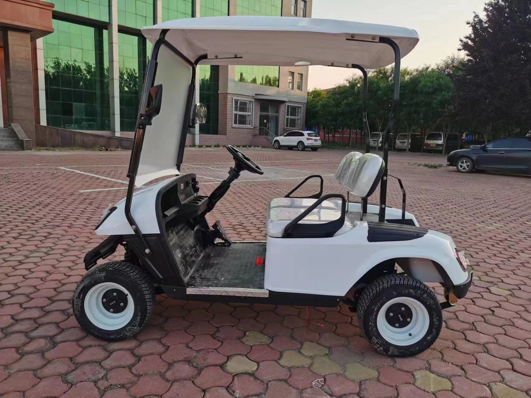 ShunCha  Factory 2023 NEW  60V 3KW 2 Seats Car Electric Club Golf Cart On Sale AC Motor