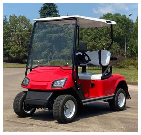 ShunCha  Factory 2023 NEW  60V 3KW 2 Seats Car Electric Club Golf Cart On Sale AC Motor