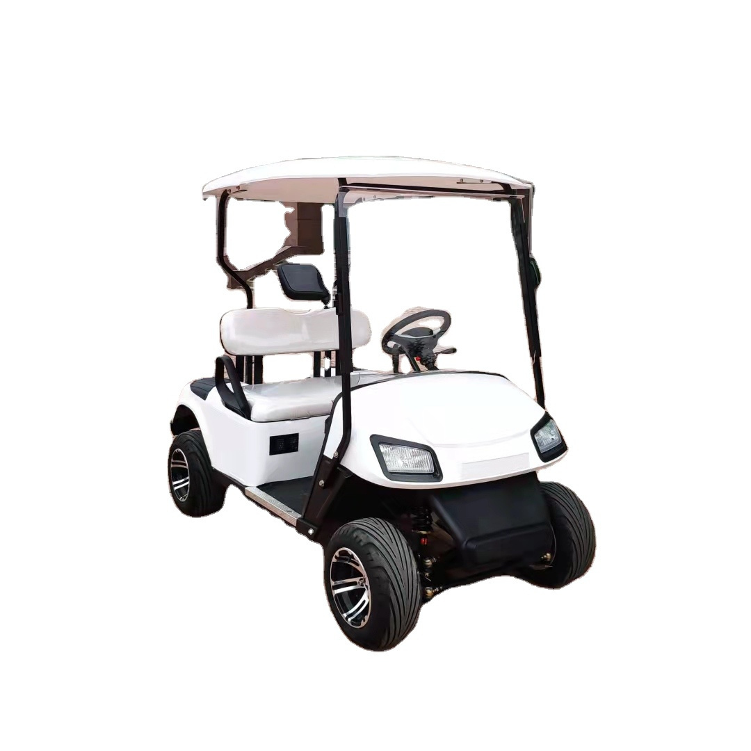 ShunCha  Factory 2023 NEW  60V 3KW 2 Seats Car Electric Club Golf Cart On Sale AC Motor