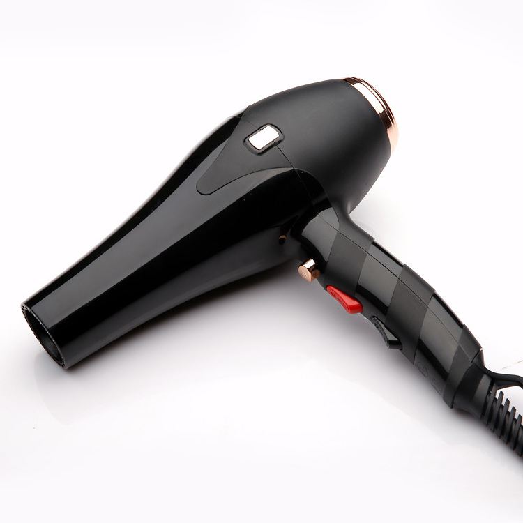 New Style Salon Professional Hair dryer Nylon Material With AC Motor