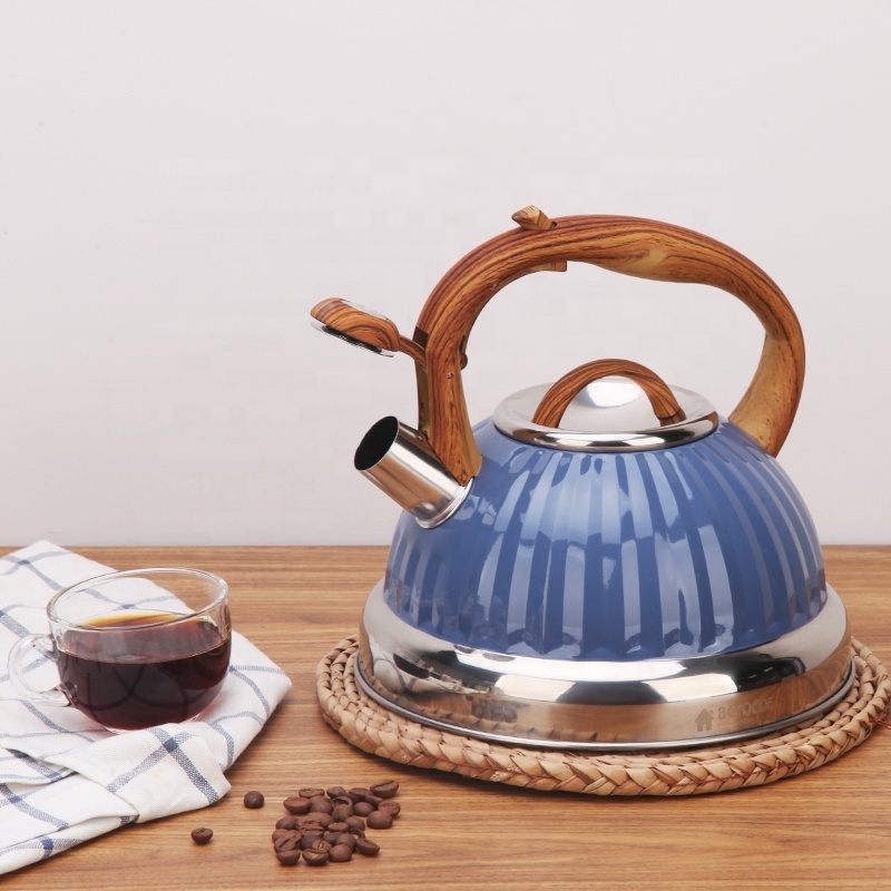 Stainless Steel Whistling Kettle Metal 3.0L Blue Coating Customized Kitchen Home Modern Pots Coffee Whistle Kettle Teapot