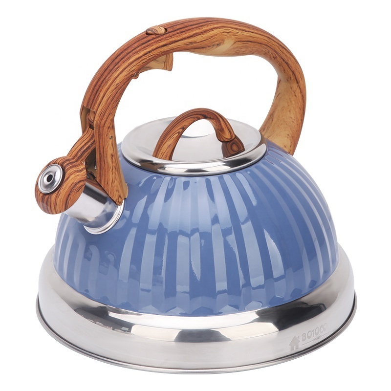 Stainless Steel Whistling Kettle Metal 3.0L Blue Coating Customized Kitchen Home Modern Pots Coffee Whistle Kettle Teapot