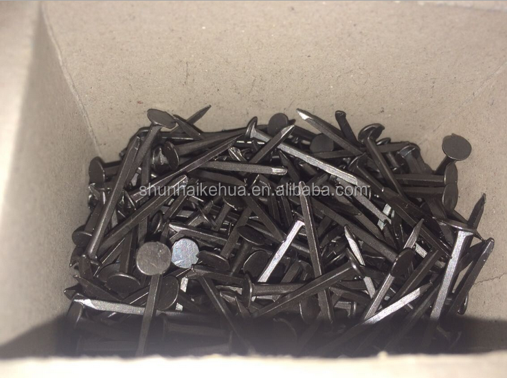 Iron Q195 Materials shoe blue tack Nail from Manufacturer with Lowest price