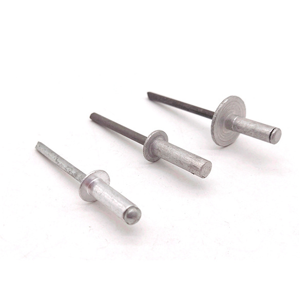 Stainless Steel Special Blind Rivet