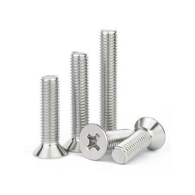 Customized DIN965 M2 M2.5 M3 M4 M5 M6 M7 M8 Metric Stainless Steel Cross Recessed Phillips Flat Countersunk Head Machine Screw