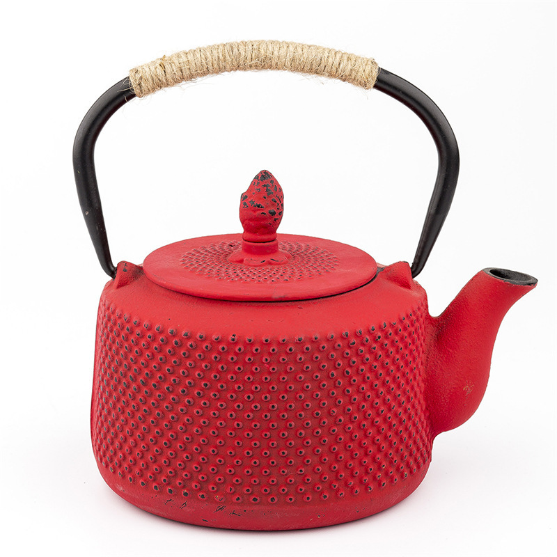 800ml Metal Tea Kettle with Stainless Steel Infuser Cast Iron Teapot