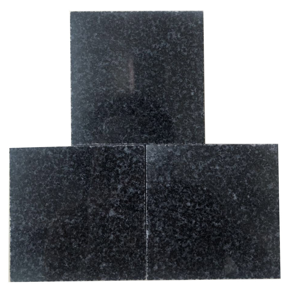 China impala natural black granite flamed finished paving tiles