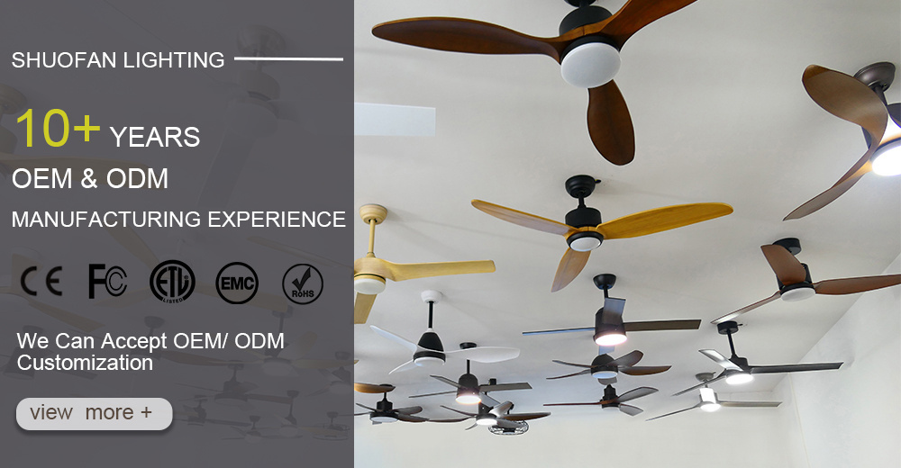 ceiling fan modern study room decorative white plastic blade Bldc inverter ceiling fan and ceiling fan lamp