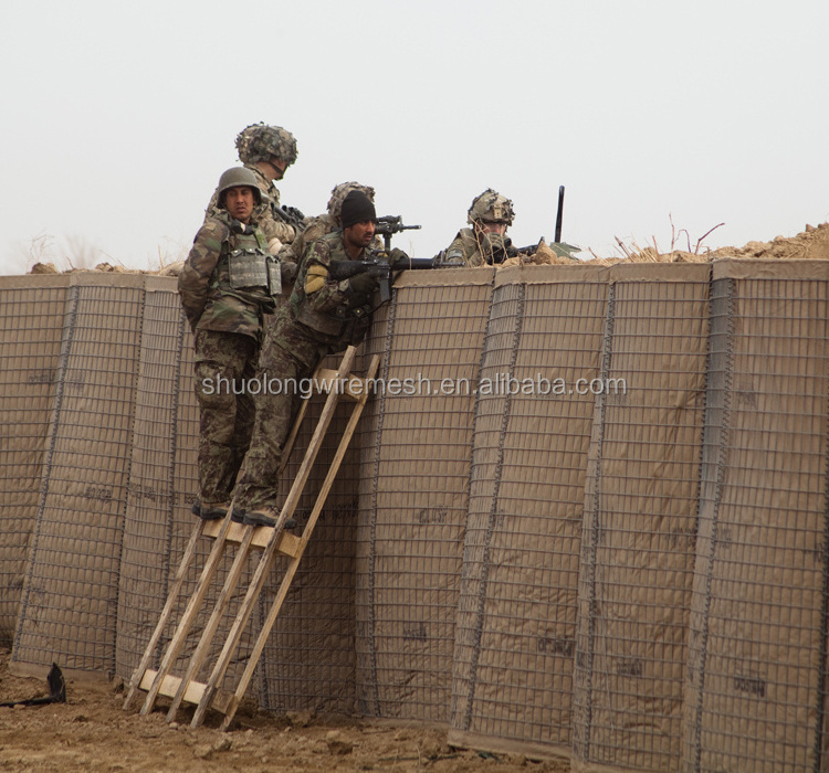 Plastic Gabion Baskets sand wall hesco barrier for Sale