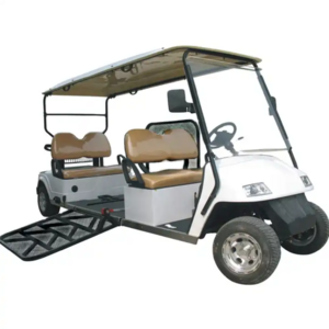 Medium Size Disabled Mobility Scooter Electric golf cart with canopy 6 seats