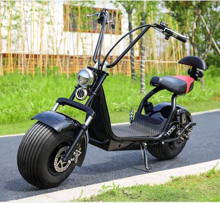 China Classic Popular Fat Tire 2 Wheel Electric Citycoco Scooter  1500w Adult Electric Motorcycle With Big Seat