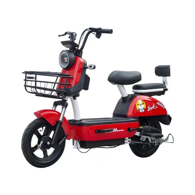 cheap Electric Scooter 2 Seater Electric City Bike Electric Bicycle Without Battery