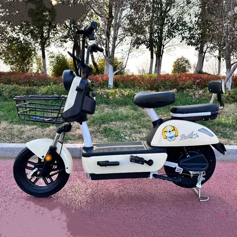 cheap Electric Scooter 2 Seater Electric City Bike Electric Bicycle Without Battery