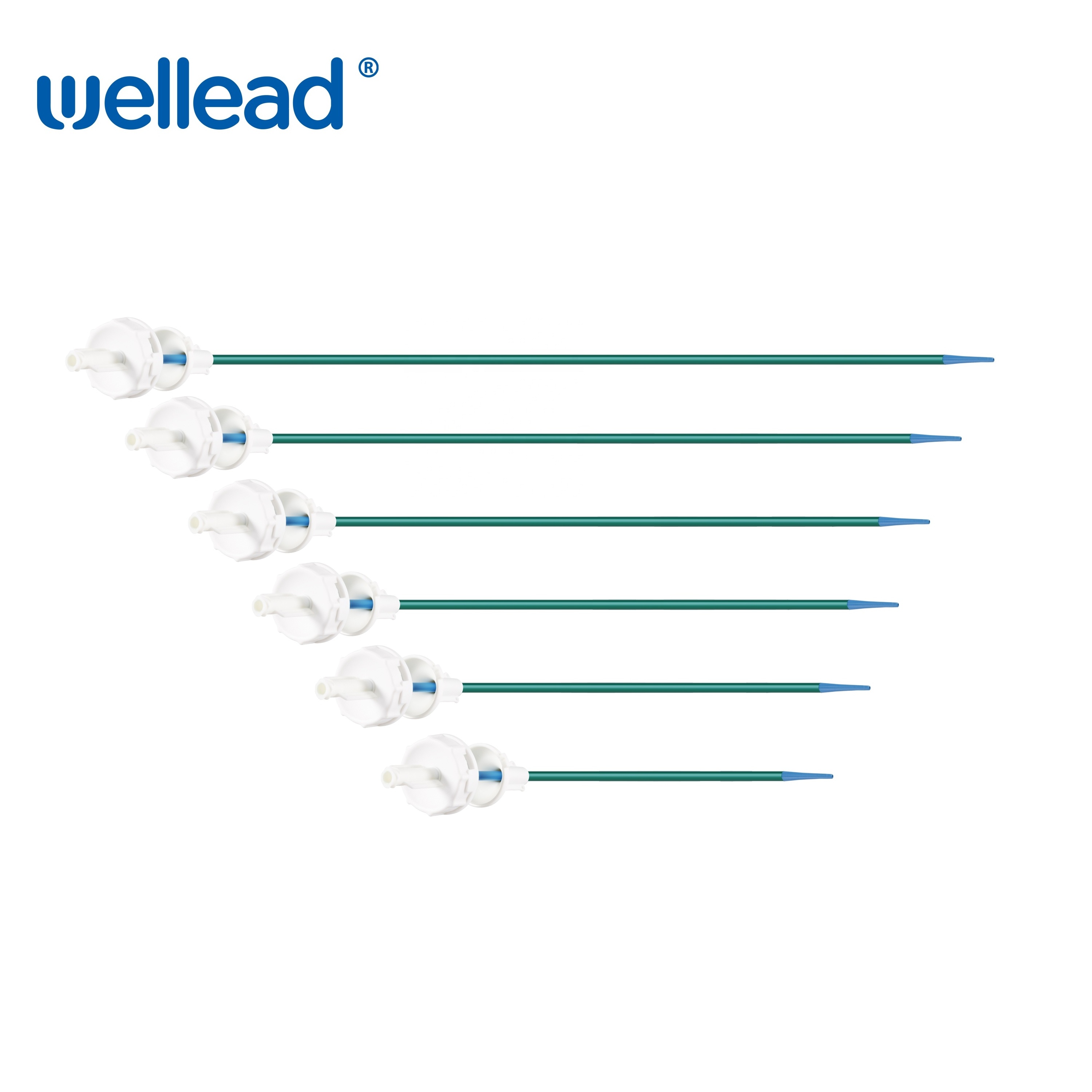 Hydrophilic Coated Ureteral Access Sheath