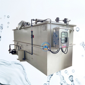 Customized Dissolved Air Flotation Tank Air Flotation Machine Product for Sewage Treatment Plant