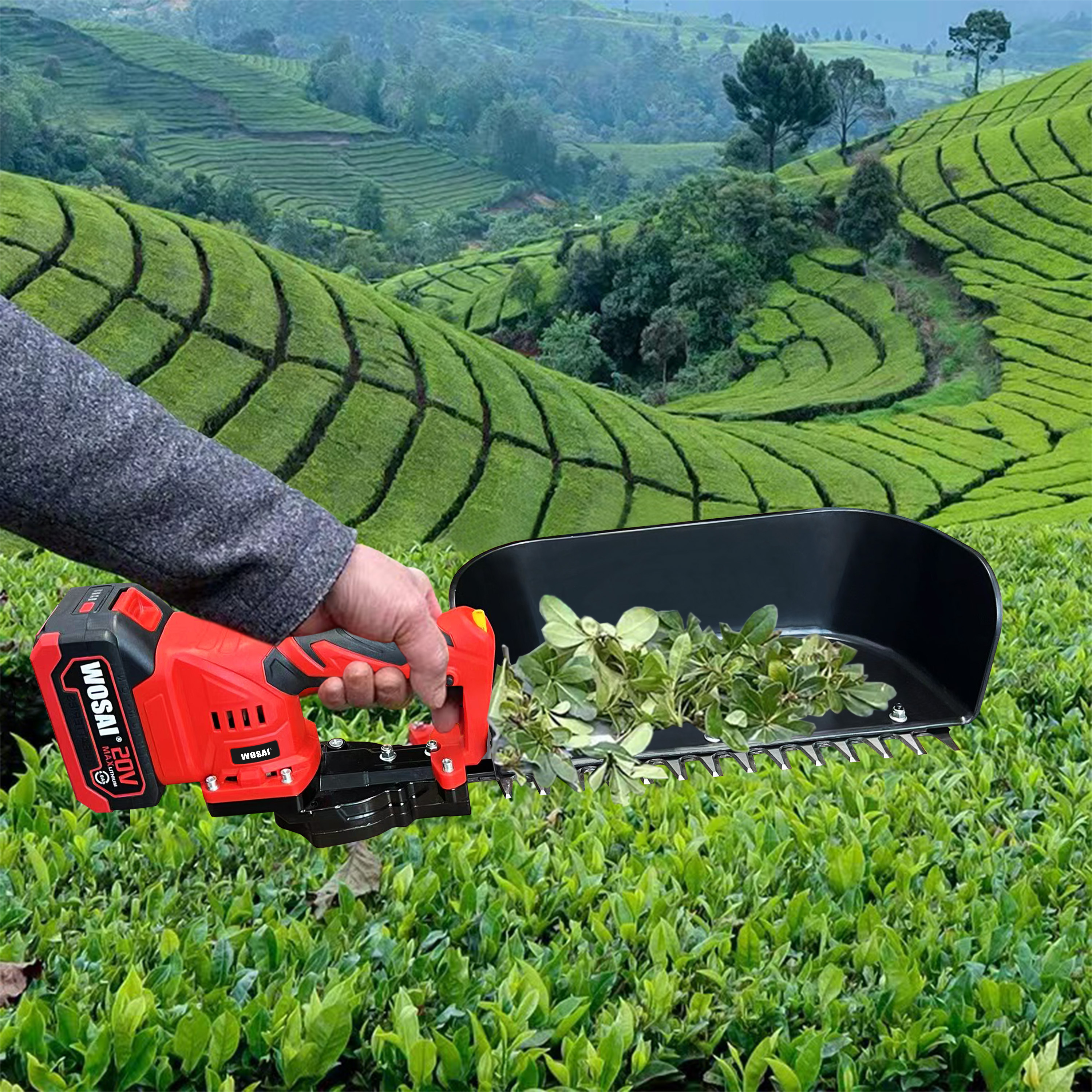 WOSAI 20V Professional Tea Picking Machine Tea Leaf Picker With Lithium Battery Tea Plucker Plucking Machine