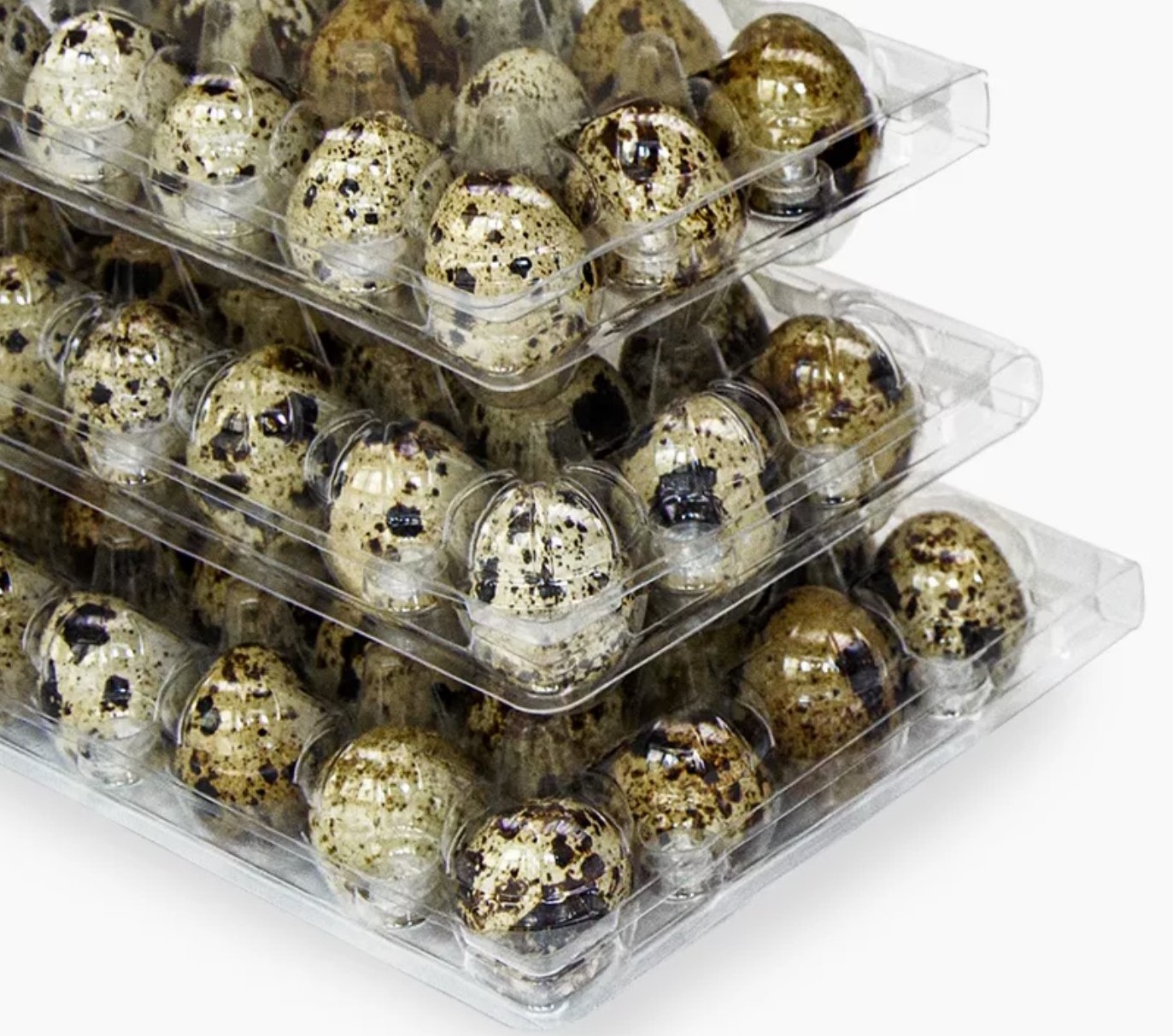 16.6*10.5*3.9cm Quail Egg Carton 15 Holes Plastic Egg Tray with Lid Clear Clamshell Disposable Wholesale PET Blister Packaging