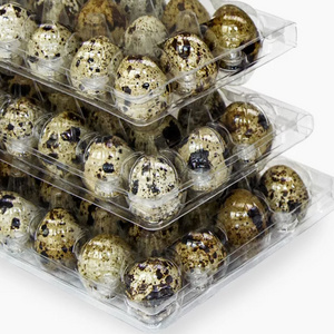 16.6*10.5*3.9cm Quail Egg Carton 15 Holes Plastic Egg Tray with Lid Clear Clamshell Disposable Wholesale PET Blister Packaging