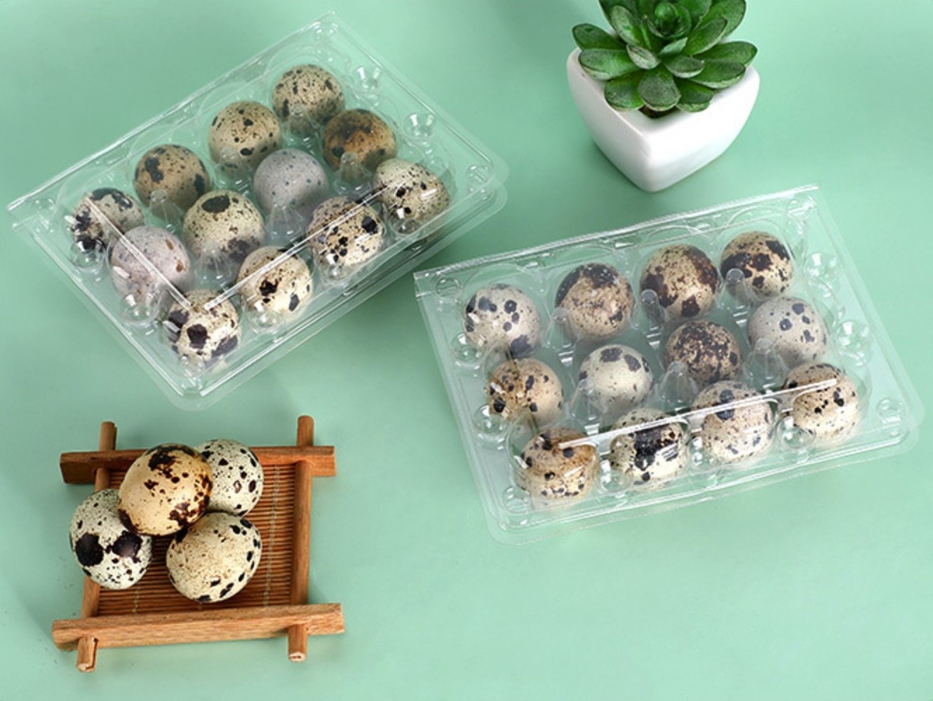 16.6*10.5*3.9cm Quail Egg Carton 15 Holes Plastic Egg Tray with Lid Clear Clamshell Disposable Wholesale PET Blister Packaging