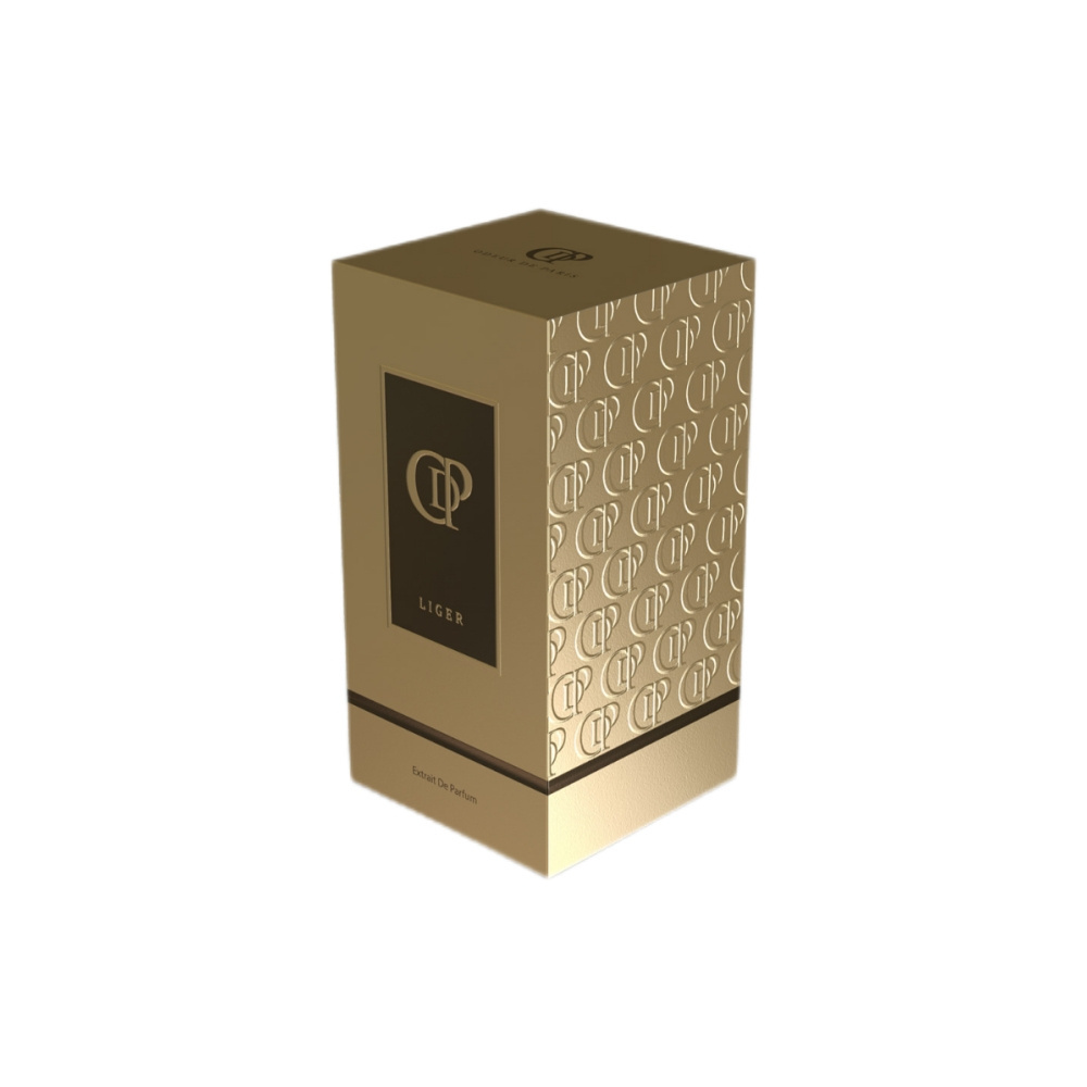 Luxury Cosmetic Hard Recyclable Essential Oil Perfume Bottle Foam Insert Fancy Paper Gift Box Packaging for Small Business