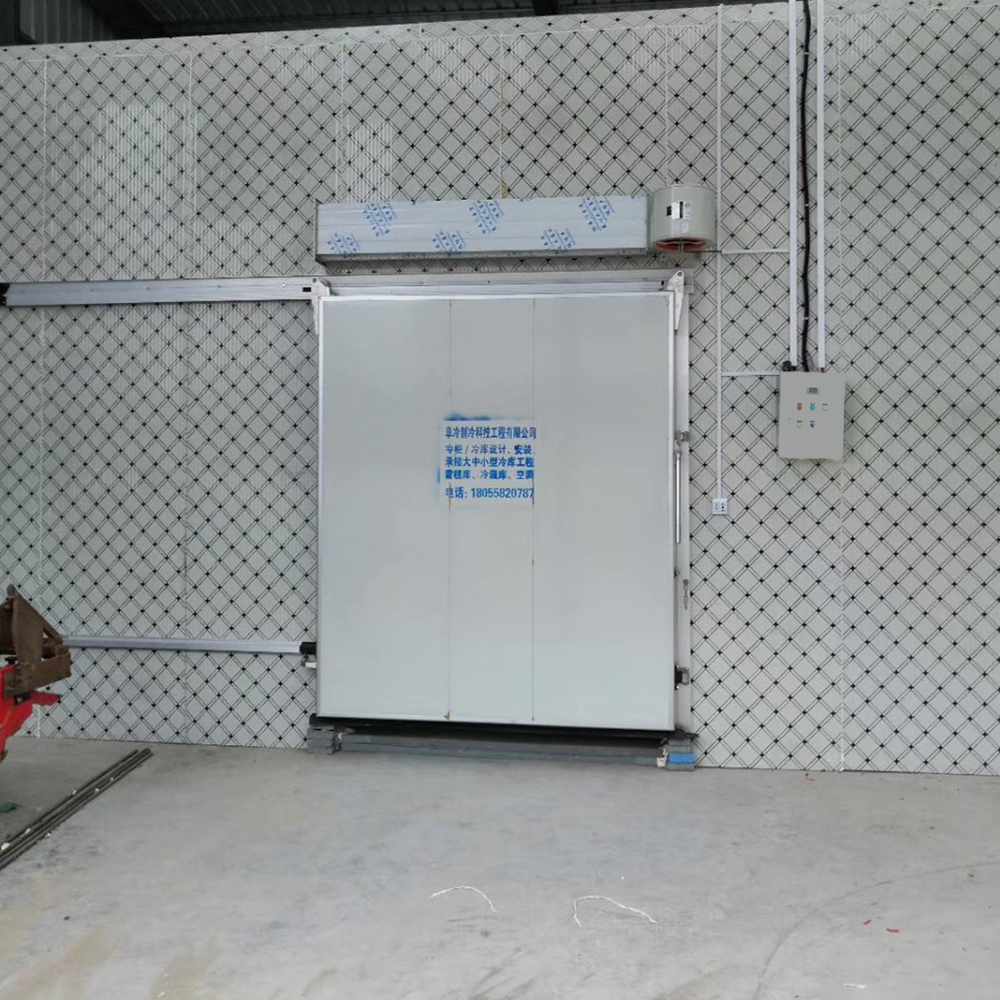 Frozen Meat Deep Freezer Blast Freezer for Sale Cold Room for Onion Potato Vegetables Fish Freezing Room Brazil Condensing Unit