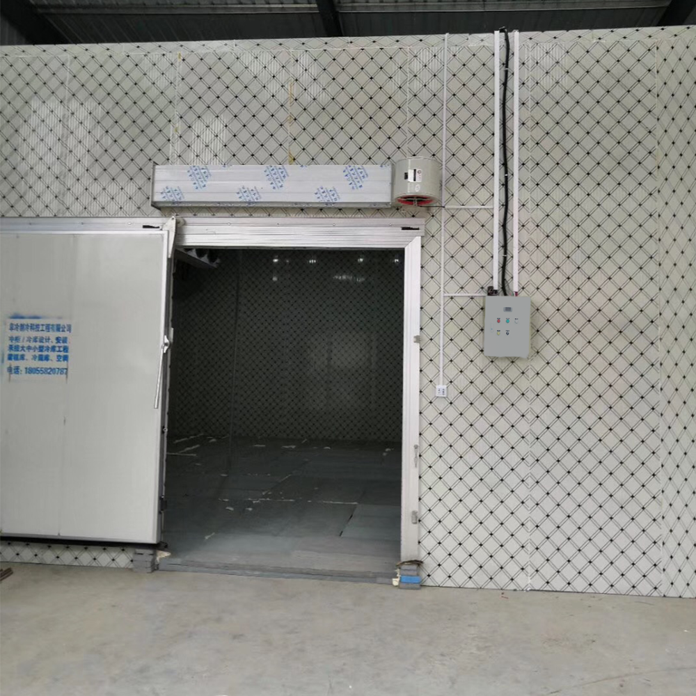 Frozen Meat Deep Freezer Blast Freezer for Sale Cold Room for Onion Potato Vegetables Fish Freezing Room Brazil Condensing Unit