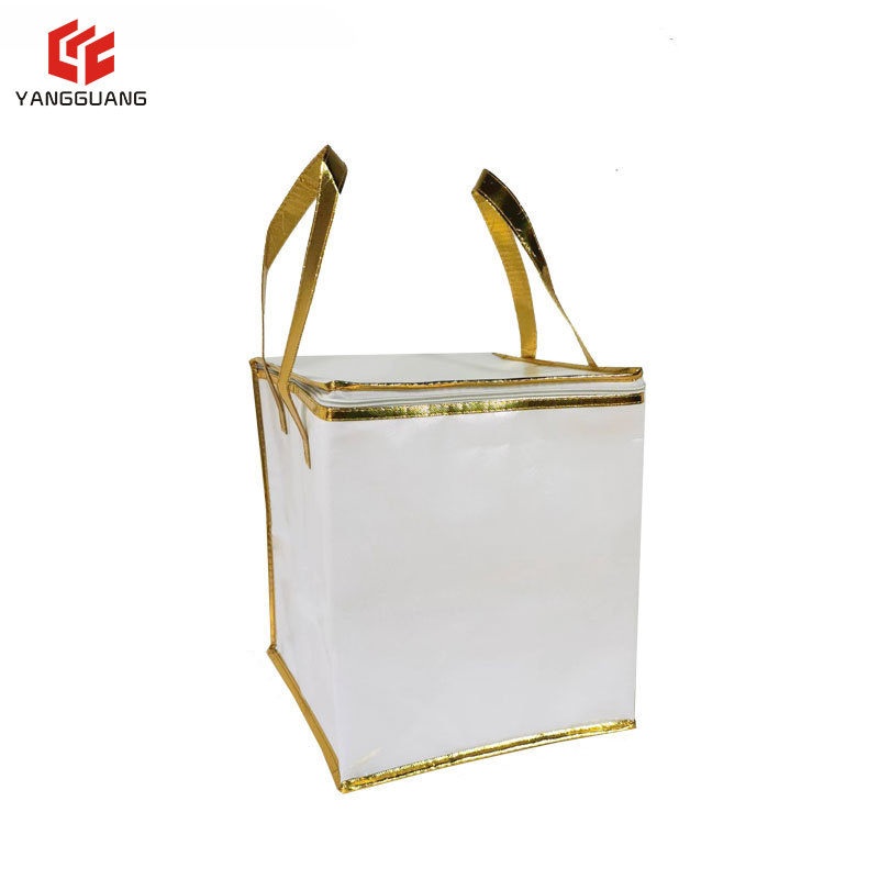 Newest Insulation Cooler Breast Milk Take Away Carrier Food Delivery Bag