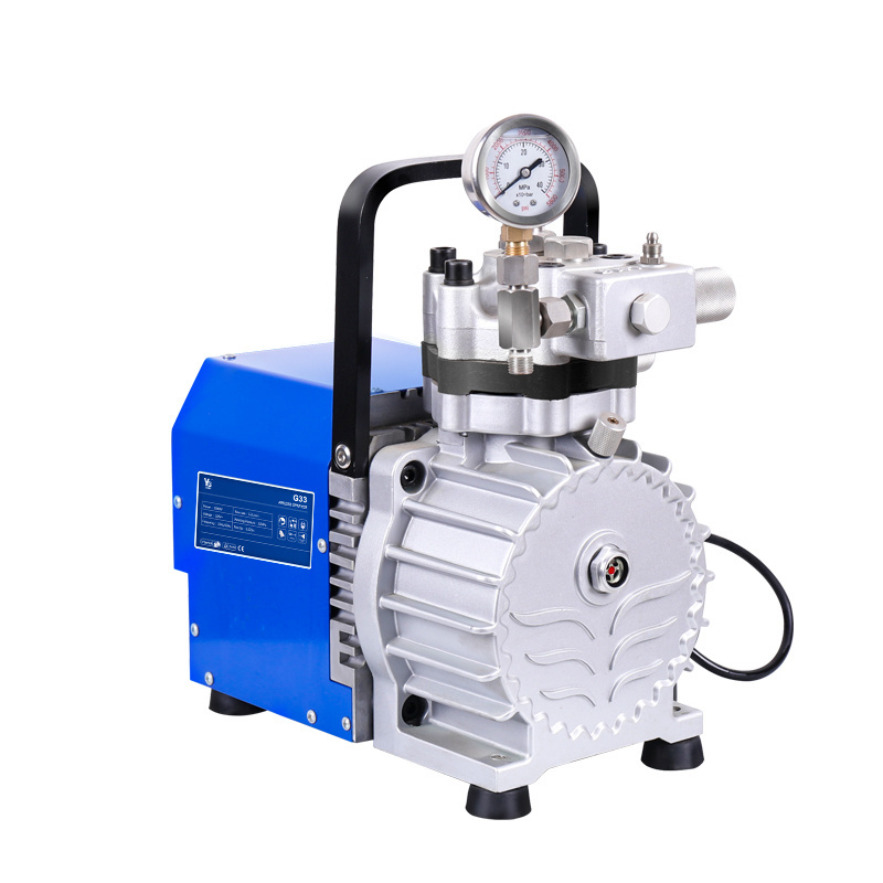 Professional 5.2L/min High Pressure Diaphragm Pump Airless Sprayer Electric Airless Paint Sprayers