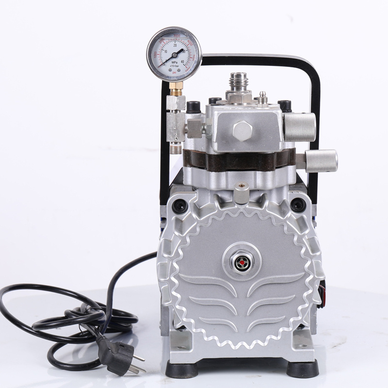 Professional 5.2L/min High Pressure Diaphragm Pump Airless Sprayer Electric Airless Paint Sprayers