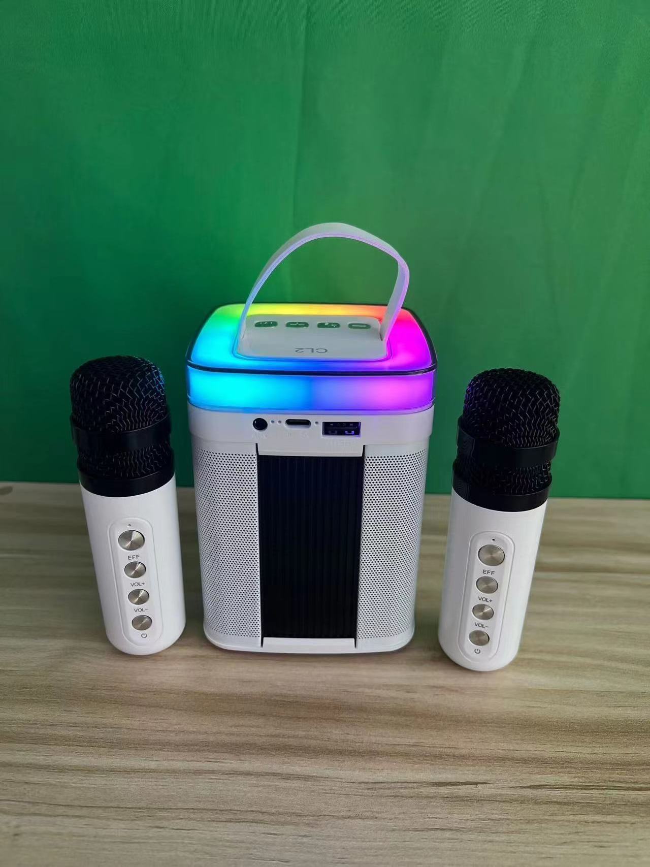 karaoke wireless microphone conference speaker CL2  with BT For home ktv Amplified Sound Box