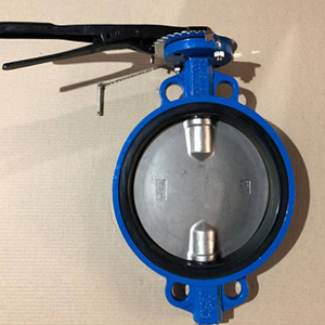 Competitive price best selling cast iron marine wafer type butterfly valve