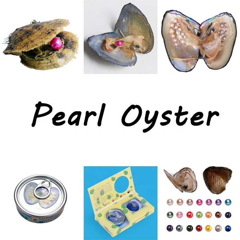 Edison Pearl 10-14mm Freshwater Pearl Akoya Oysters Natural Round/near Round Multicolor