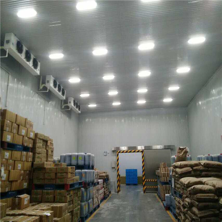 Chicken freezer storage room, cold room data logger, cold freezer room for meat and poultry