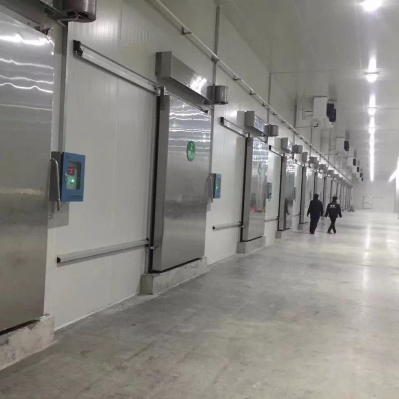 Freezer/Chiller/Cool/Cold Storage Room with Compressor Refrigeration Unit for Meat/Vegetables/Fish/Fruit