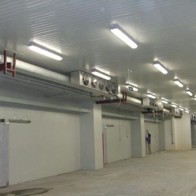 Freezer/Chiller/Cool/Cold Storage Room with Compressor Refrigeration Unit for Meat/Vegetables/Fish/Fruit