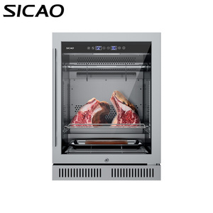 Meat Age Machine Small Steak Fridge DA150S Home Cabinet Dry Aging Refrigerator