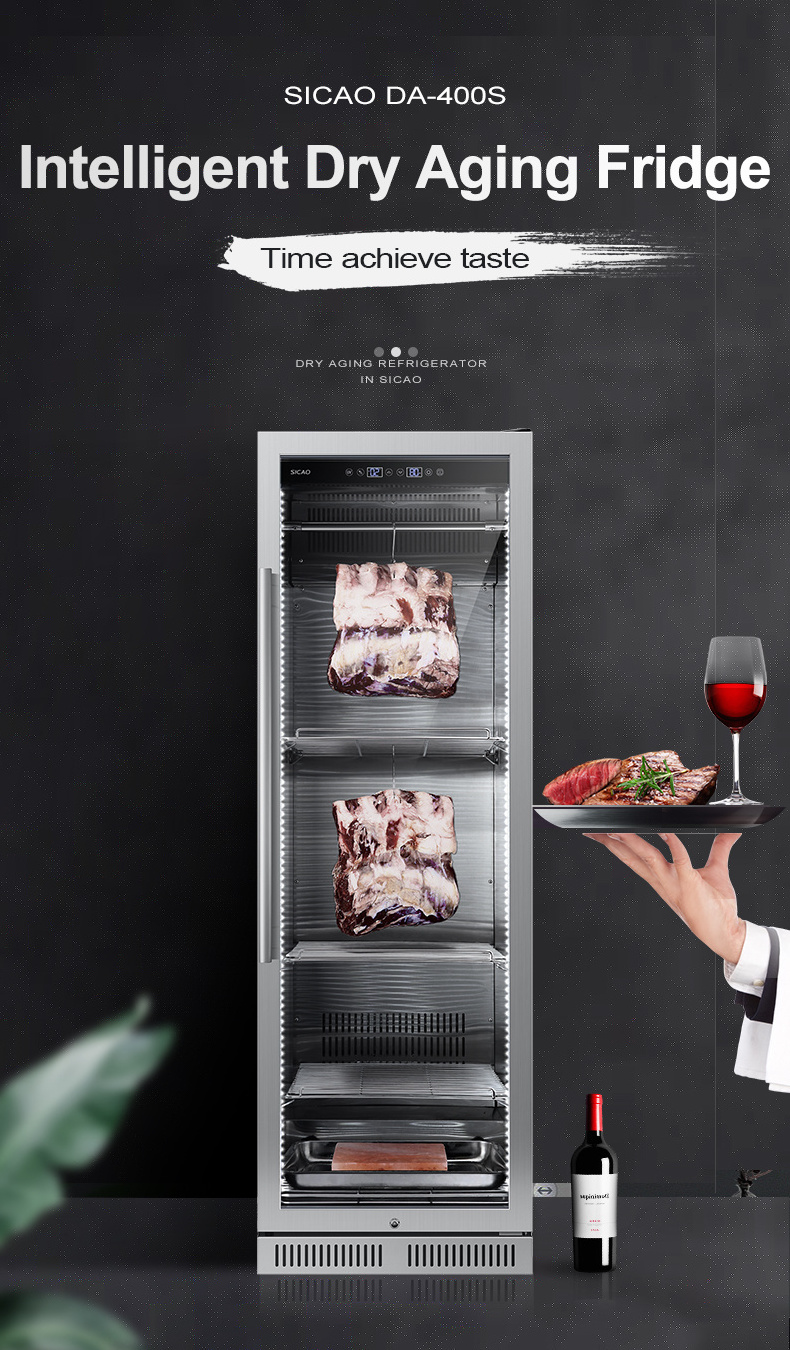 Commercial high quality dry ager cabinet beef dry ager steak locker pro meat aging fridge meat curing dry aging chamber