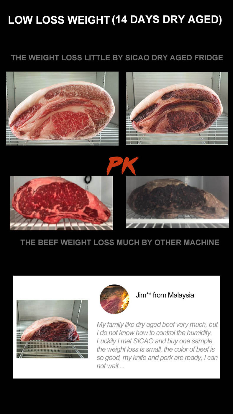 Maturing Fridges Energy Saving Beef Steak Beef Dry Ager Aged Aging Beef Meat Cabinet dry aging refrigerator