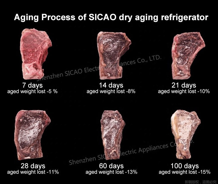 SICAO RTS Ready Stock Hotel Restaurant Commercial Display Showcase Dry Ageing Beef Steak Fridge Refrigerator Cabinet