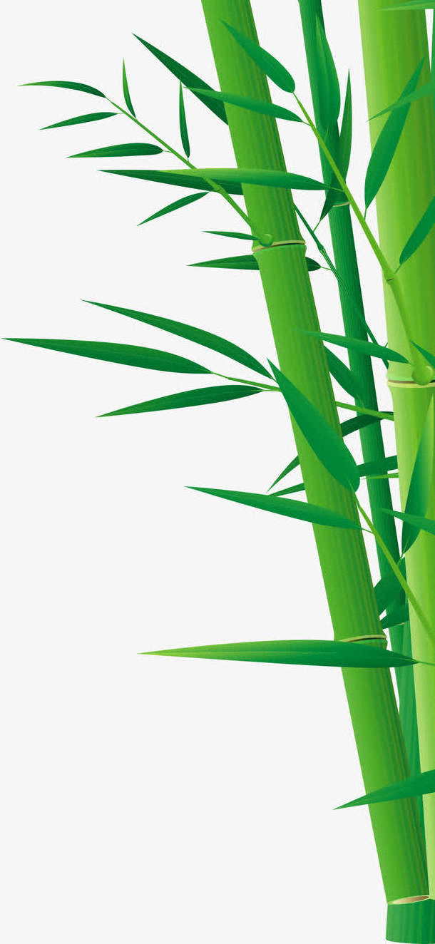 Bamboo leaf extract flour concentrated powder bamboo extract powder