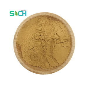 Mush Extract Agrocybe Cylindracea Polysaccharide Powder/Tea Tree Mushroom/Agrocybe Cylindracea Extract 10:1