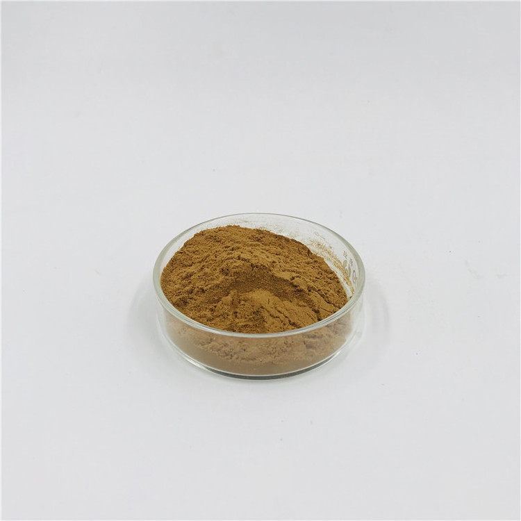 100% Natural Peach Kernel Extract Peach Seed Powder Peach Kernel Powder