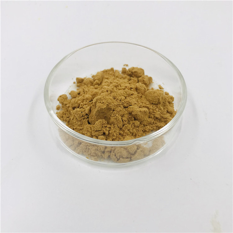 Factory Supply 10:1 Pandan Leaf Extract Powder Pure Organic Pandan Extract For Health