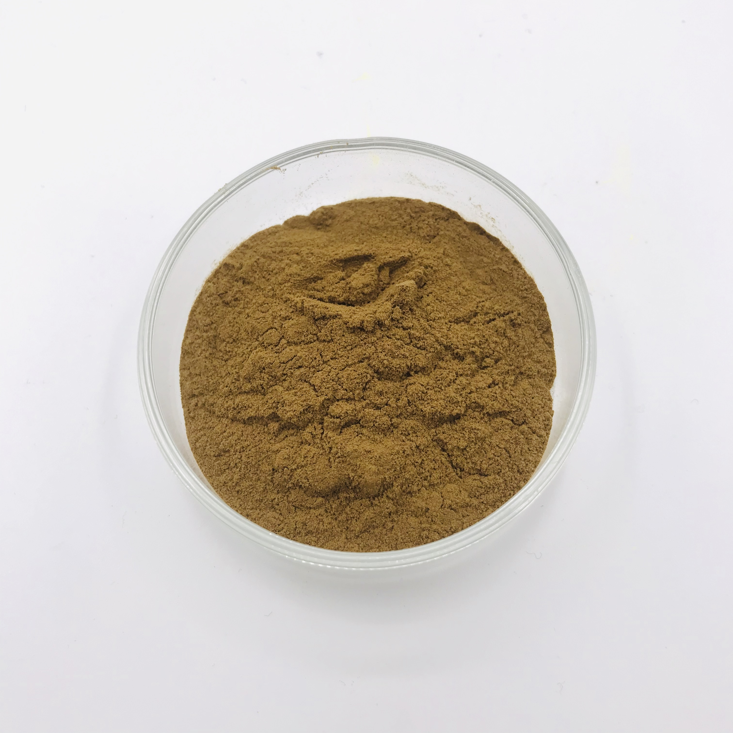 20% Aescin Aesculus Hippocastanum Horse Chestnut Extract