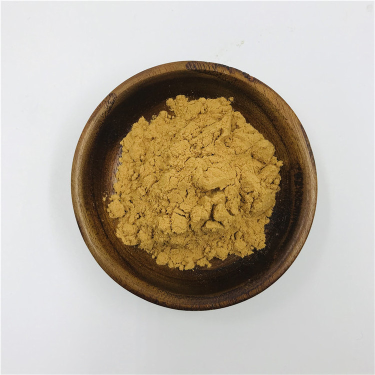 Mush Extract Agrocybe Cylindracea Polysaccharide Powder/Tea Tree Mushroom/Agrocybe Cylindracea Extract 10:1