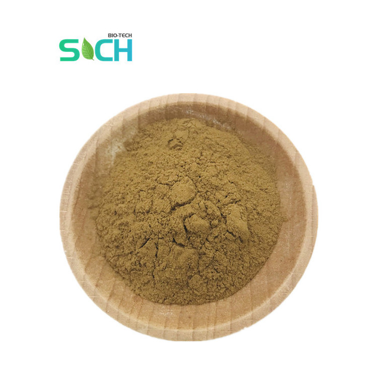 Factory Supply 10:1 Pandan Leaf Extract Powder Pure Organic Pandan Extract For Health