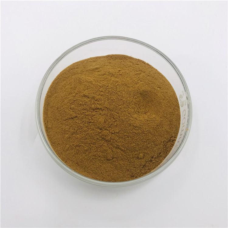 20% Aescin Aesculus Hippocastanum Horse Chestnut Extract