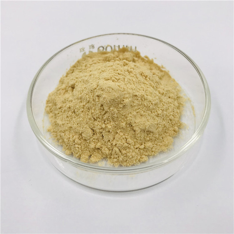 Wholesale Food Grade Beta-glucan Yeast Extract 70% 80% 90% Yeast Beta Glucan Powder